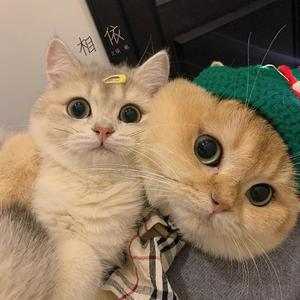 综合久色一日韩人妻丝袜无码一区
